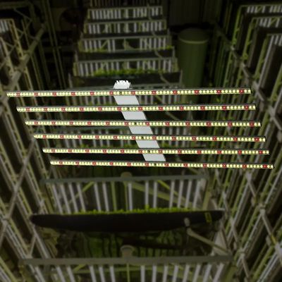 聚焦新賽道 植物工廠與AI系統(tǒng)集成服務(wù)的融合與前景