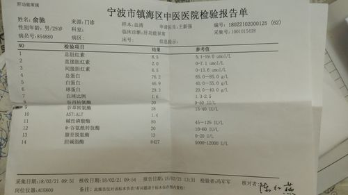 抽血檢驗報告單匯總與肝癌血漿microRNA標(biāo)志物檢測報告系統(tǒng)